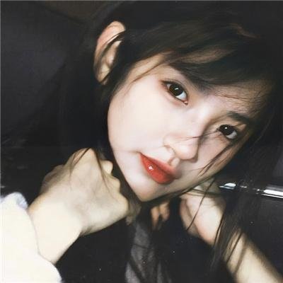 精灵宝可梦：比克提尼与黑之英雄捷克罗姆国语