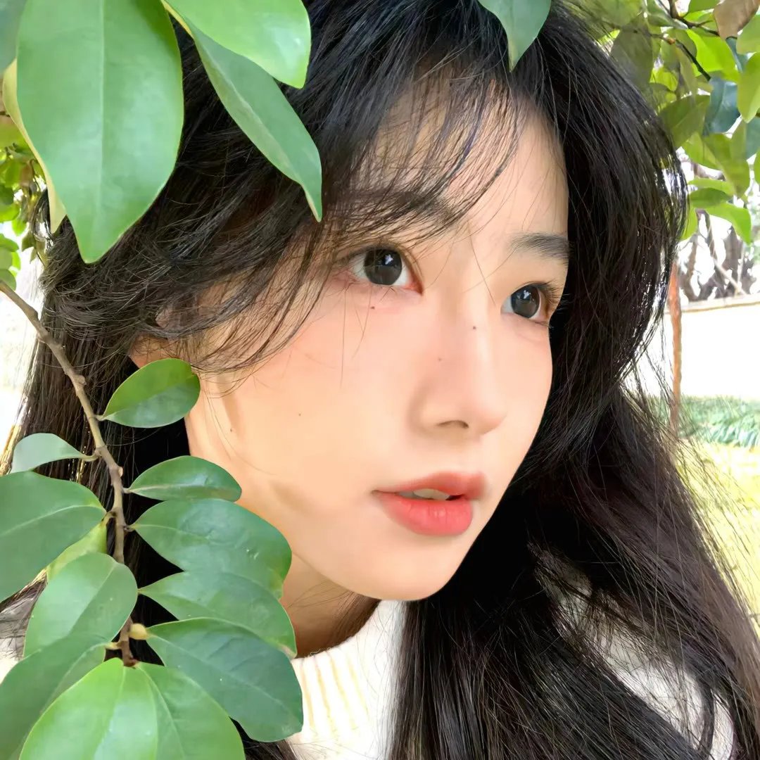 九国公主倒追你管这叫废物